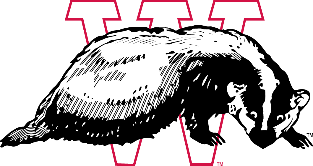 Wisconsin Badgers 1936-1947 Alternate Logo v2 diy iron on heat transfer